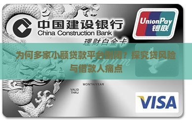 为何多家小额贷款平台倒闭？探究贷风险与借款人痛点