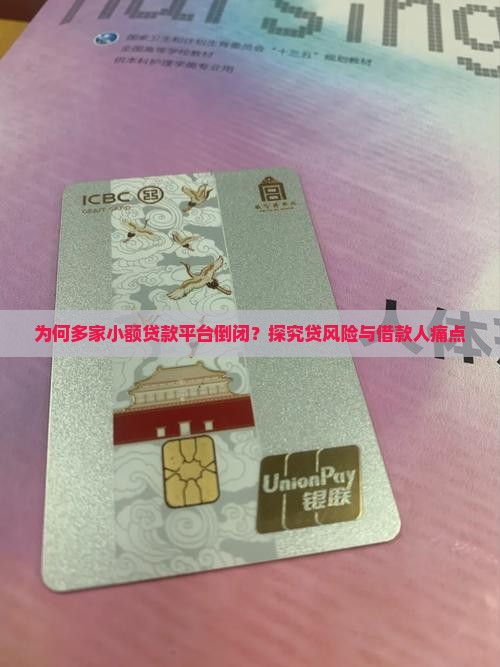 为何多家小额贷款平台倒闭？探究贷风险与借款人痛点