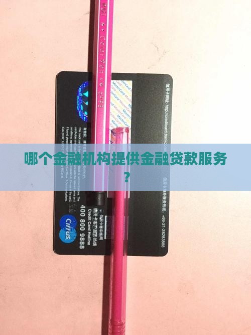 哪个金融机构提供金融贷款服务？
