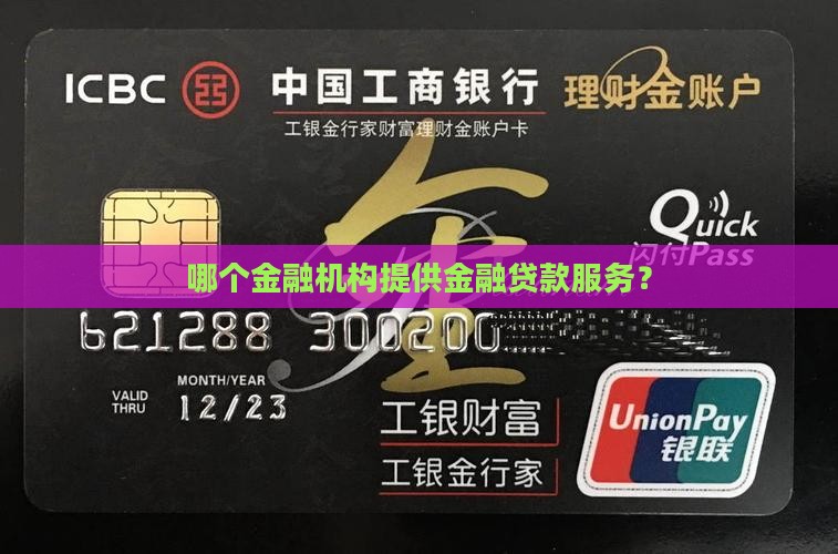 哪个金融机构提供金融贷款服务？