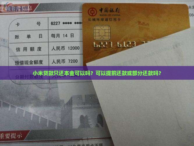 小米贷款只还本金可以吗？可以提前还款或部分还款吗？