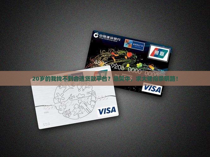 20岁的我找不到合适贷款平台？急哭中，求大佬指条明路！