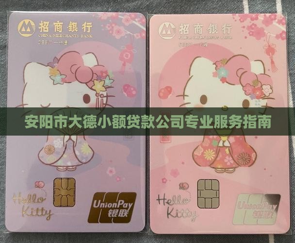安阳市大德小额贷款公司专业服务指南