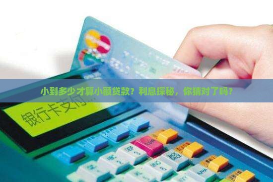 小到多少才算小额贷款？利息探秘，你猜对了吗？