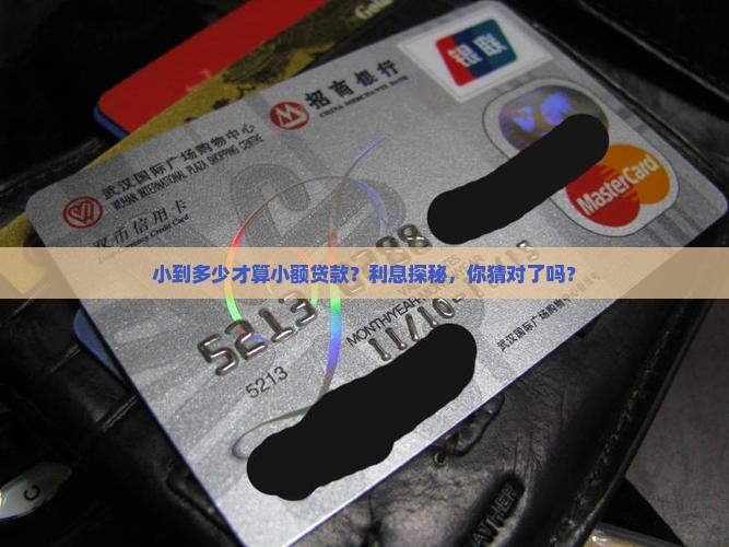 小到多少才算小额贷款？利息探秘，你猜对了吗？