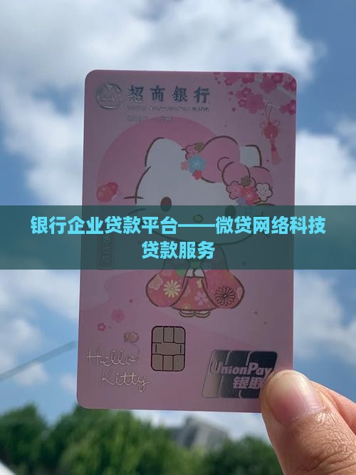 银行企业贷款平台——微贷网络科技贷款服务