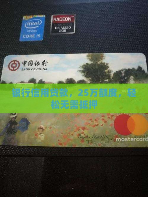 银行信用贷款，25万额度，轻松无需抵押