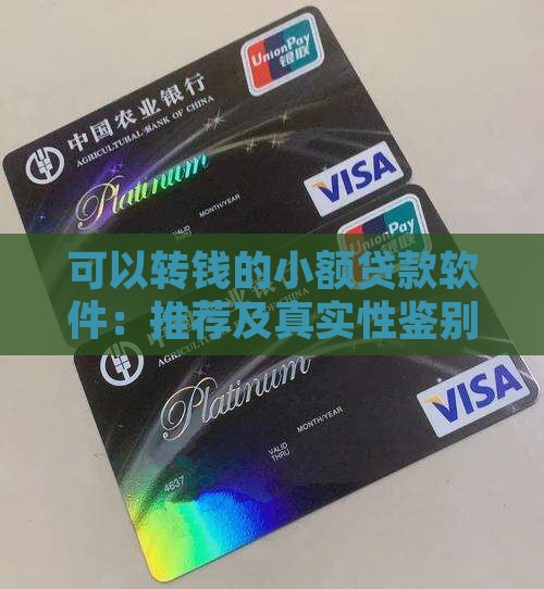 可以转钱的小额贷款软件：推荐及真实性鉴别