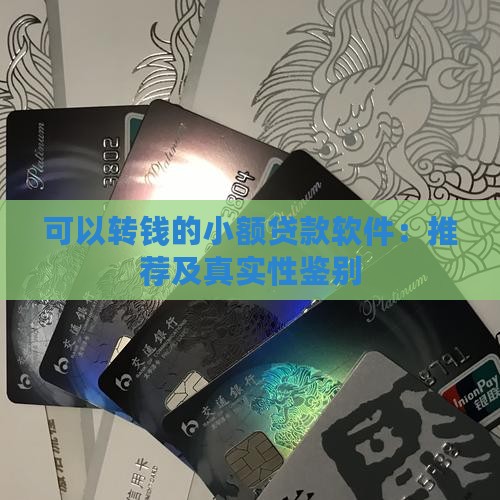 可以转钱的小额贷款软件：推荐及真实性鉴别