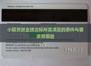 小额贷款业绩达标所需满足的条件与要求有哪些