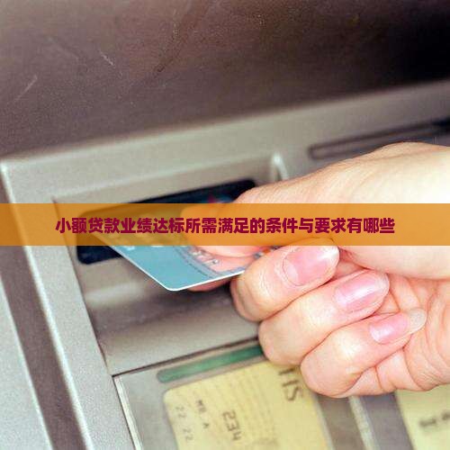 小额贷款业绩达标所需满足的条件与要求有哪些