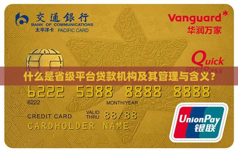 什么是省级平台贷款机构及其管理与含义？