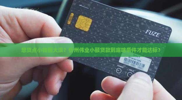 想贷点小钱翻大浪？忻州伟业小额贷款到底啥条件才能达标？