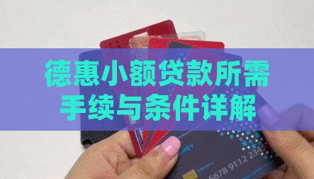 德惠小额贷款所需手续与条件详解