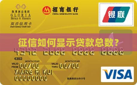 征信如何显示贷款总数？