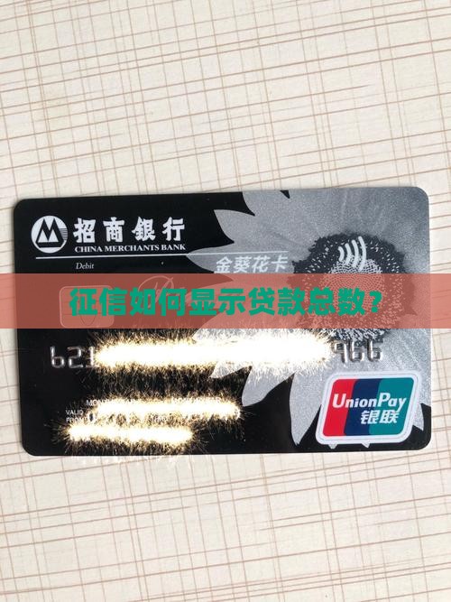 征信如何显示贷款总数？