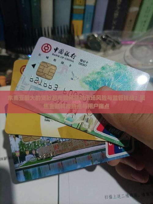 东南亚最大的贷款超市如何应对市场风险与监管挑战？聚焦金融科技热点与用户痛点