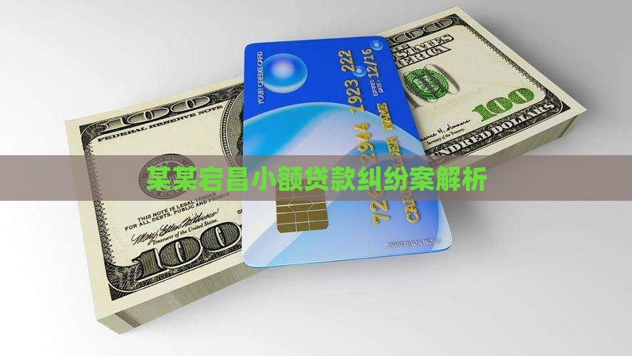 某某宕昌小额贷款纠纷案解析
