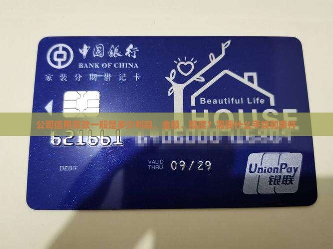 公司信用贷款一般是多少利息、金额、额度？需要什么手续和条件
