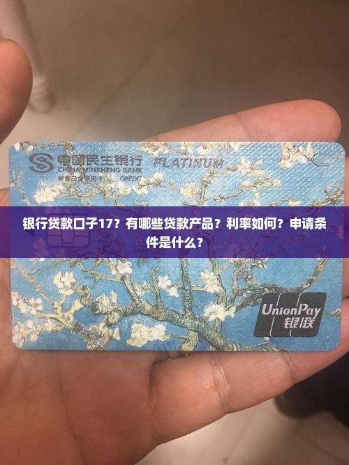 银行贷款口子17？有哪些贷款产品？利率如何？申请条件是什么？