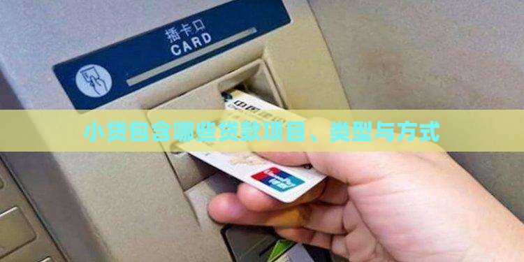 小贷包含哪些贷款项目、类型与方式