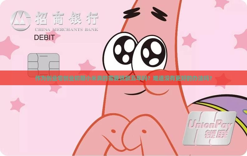 作为创业宅创业初期小米真的需要贷款五年吗？难道没有更好的办法吗？
