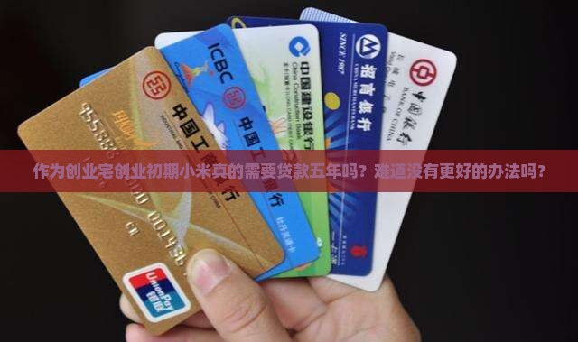 作为创业宅创业初期小米真的需要贷款五年吗？难道没有更好的办法吗？