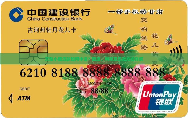 天紫小额贷款如何申请？额度、利率及还款方式详解