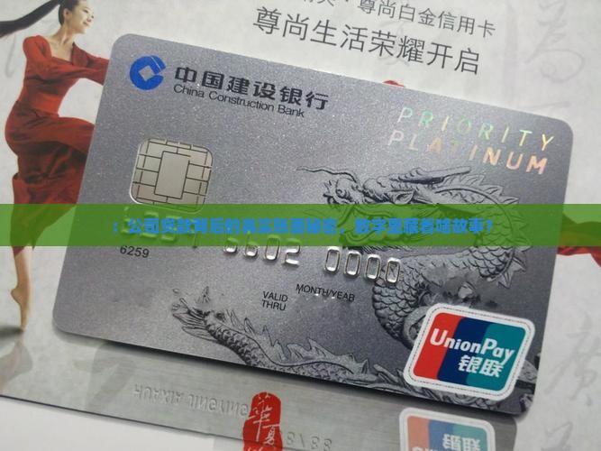 ：公司贷款背后的真实账面秘密，数字里藏着啥故事？
