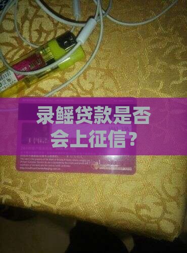 录鳐贷款是否会上征信？