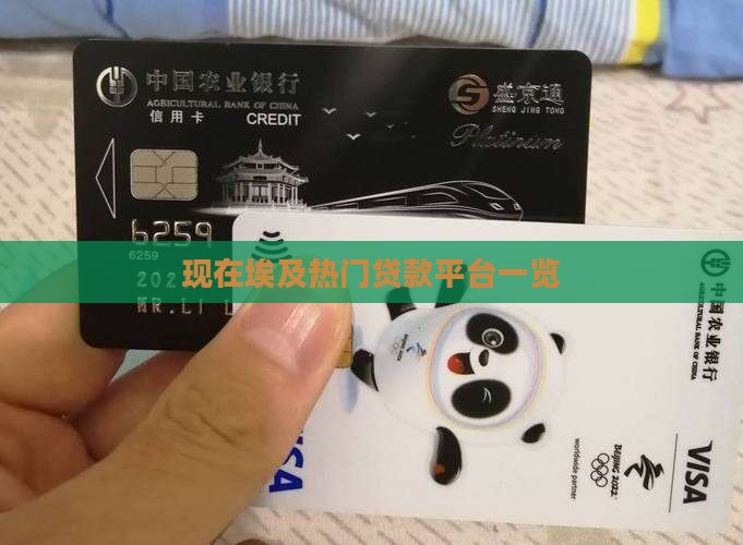 现在埃及热门贷款平台一览