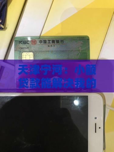 天津宁河：小额贷款能解决我的燃眉之急吗？