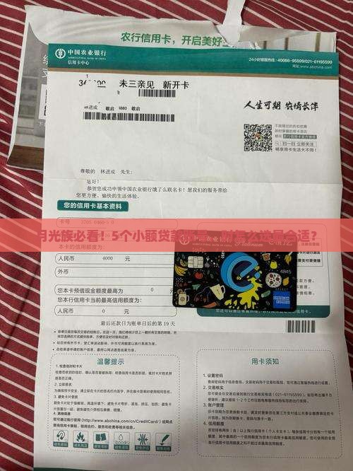月光族必看！5个小额贷款账号，时怎么选最合适？