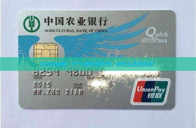 月光族必看！5个小额贷款账号，时怎么选最合适？