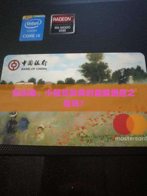 在乐陵，小额贷款真的能解燃眉之急吗？