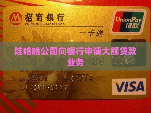 娃哈哈公司向银行申请大额贷款业务