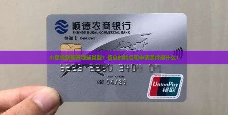 小额贷款都有哪些类型？各自的特点和申请条件是什么？