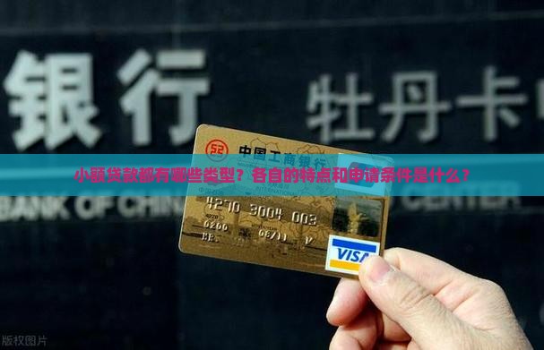 小额贷款都有哪些类型？各自的特点和申请条件是什么？