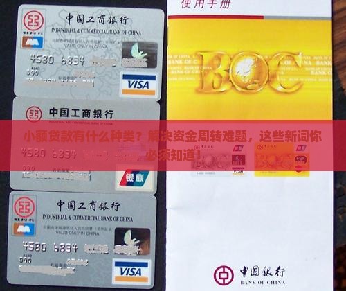 小额贷款有什么种类？解决资金周转难题，这些新词你必须知道！