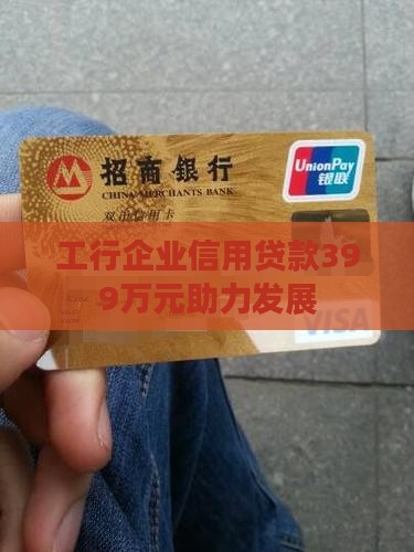 工行企业信用贷款399万元助力发展