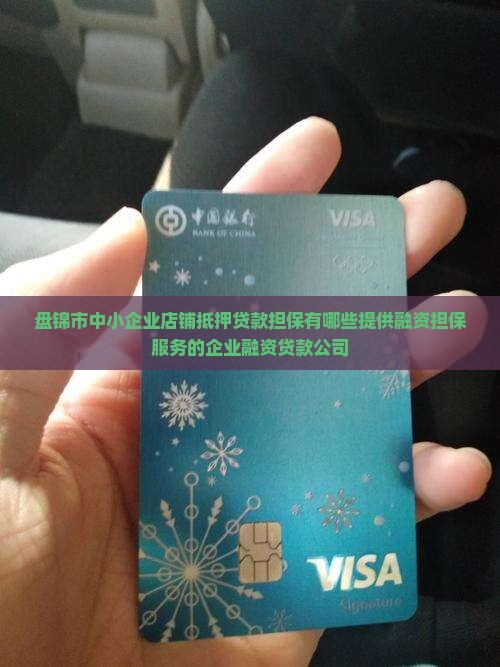 盘锦市中小企业店铺抵押贷款担保有哪些提供融资担保服务的企业融资贷款公司
