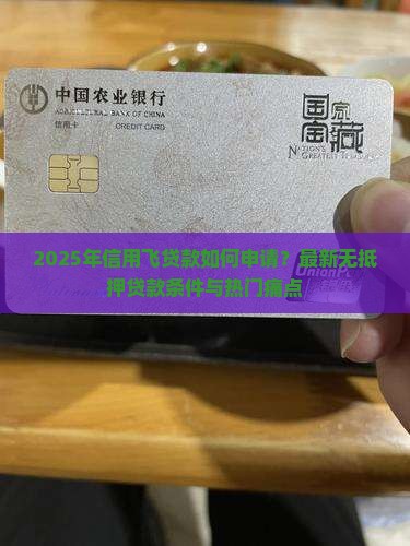 2025年信用飞贷款如何申请？最新无抵押贷款条件与热门痛点