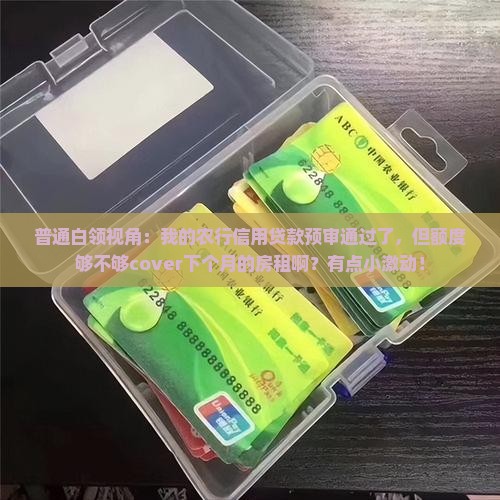 普通白领视角：我的农行信用贷款预审通过了，但额度够不够cover下个月的房租啊？有点小激动！