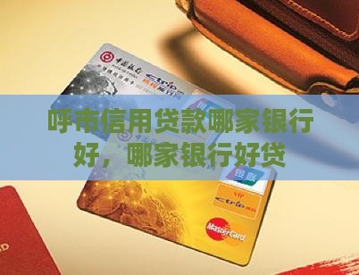 呼市信用贷款哪家银行好