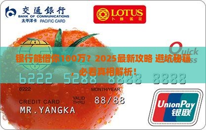 银行可以贷款100万么