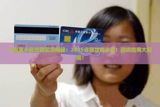 小魔鱼小额贷款
