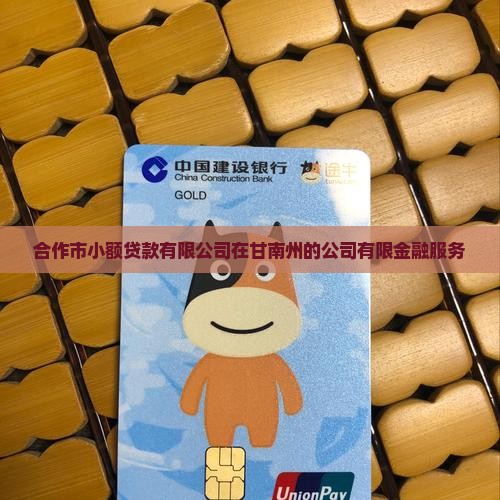 合作市小额贷款