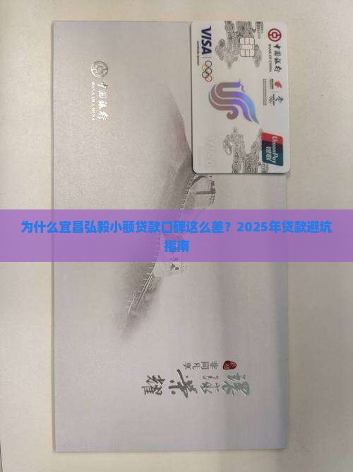 宜昌弘毅小额贷款