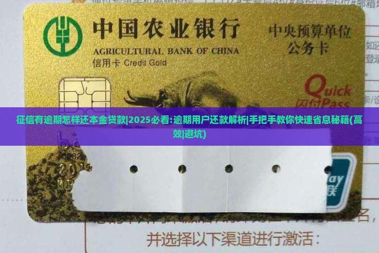 征信有逾期怎样还本金贷款