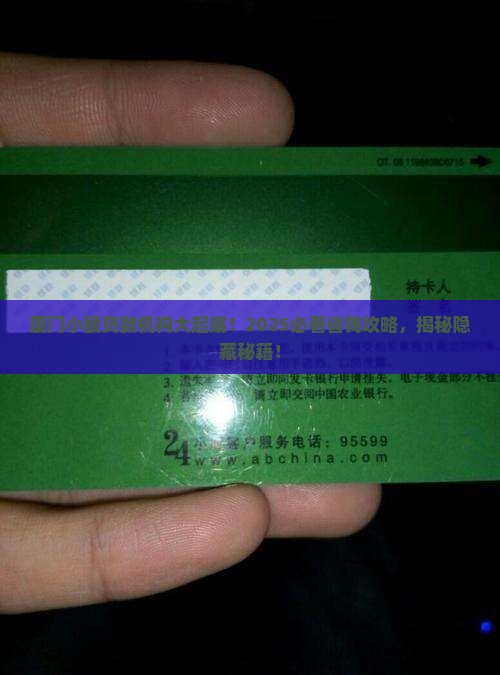 厦门的小额贷款机构